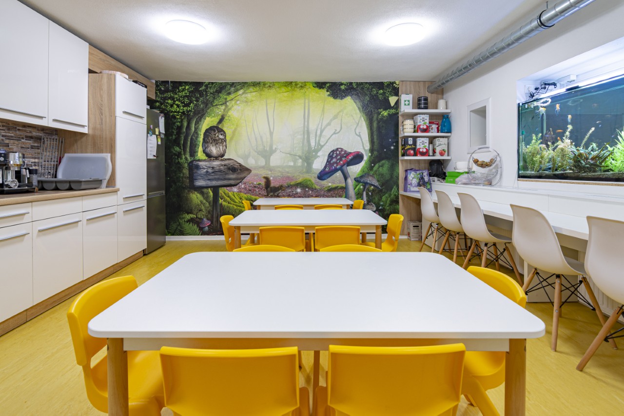 Realizácie - Školy a domovy sociálnych služieb - Wonderland - Škôlka Bratislava